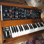 minimoog and cat