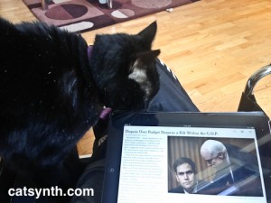 Luna with New York Times (iPad)