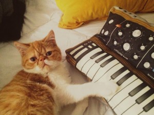 Cat and Softmachines Pillow
