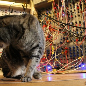 Cat and Serge Modular