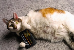 bella and delay monotron