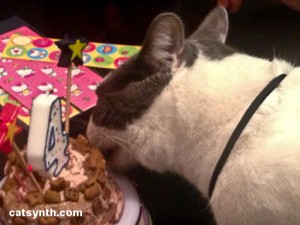 Mister Kitty's Birthday Cake