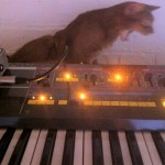 Puffystudiocat and moog