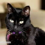 Luna closeup portrait
