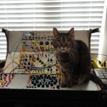 cat and buchla