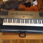 Cat and Roland HS