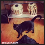 Luna and tablas