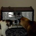 Ikea Rast modular and cats