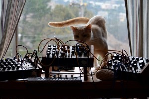 Cat, Pittsburg Modular and Teenage Engineering