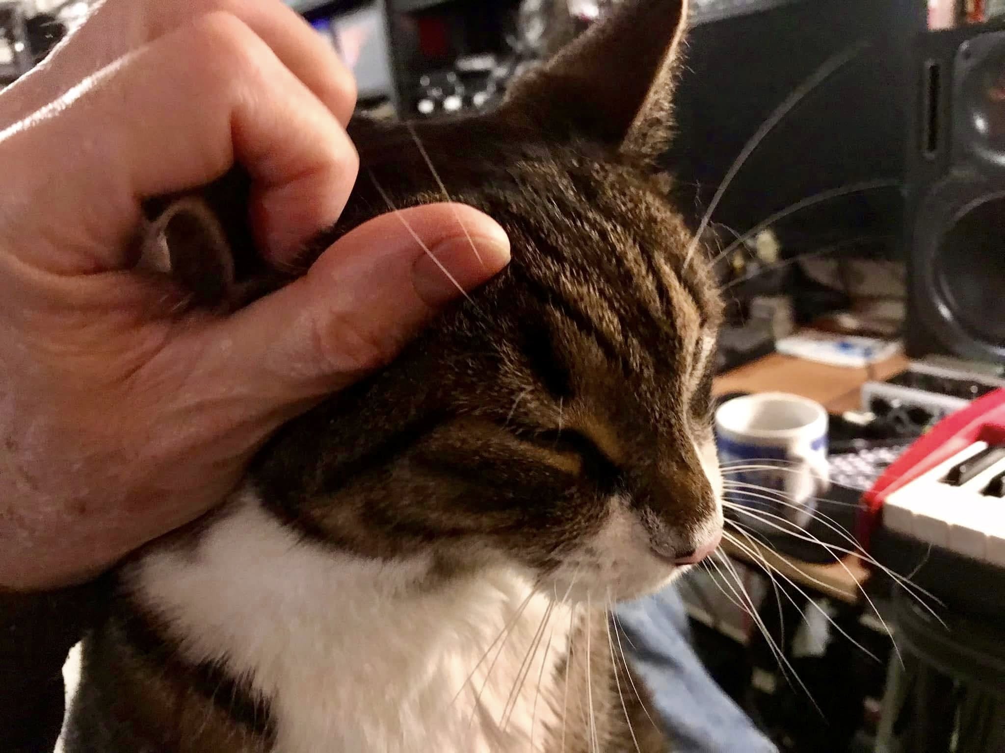 Monty in the Studio